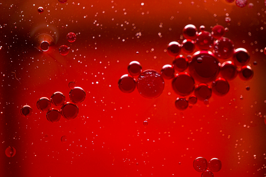 fotograf%20arad%20dolha%20photography%204