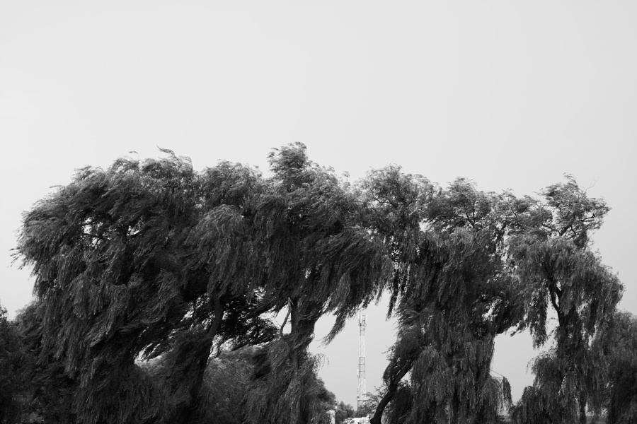 fotograf%20arad%20dolha%20photography%204