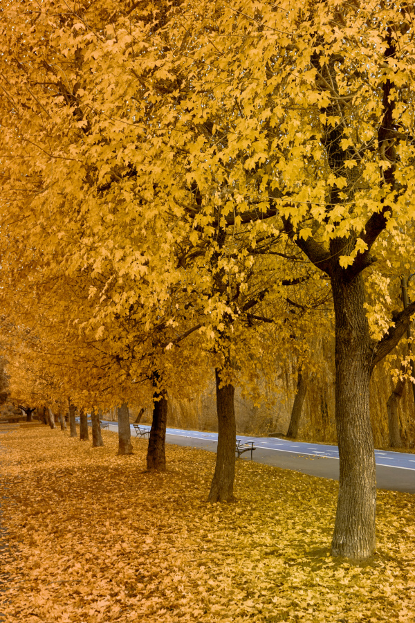 fotograf%20arad%20dolha%20photography%204