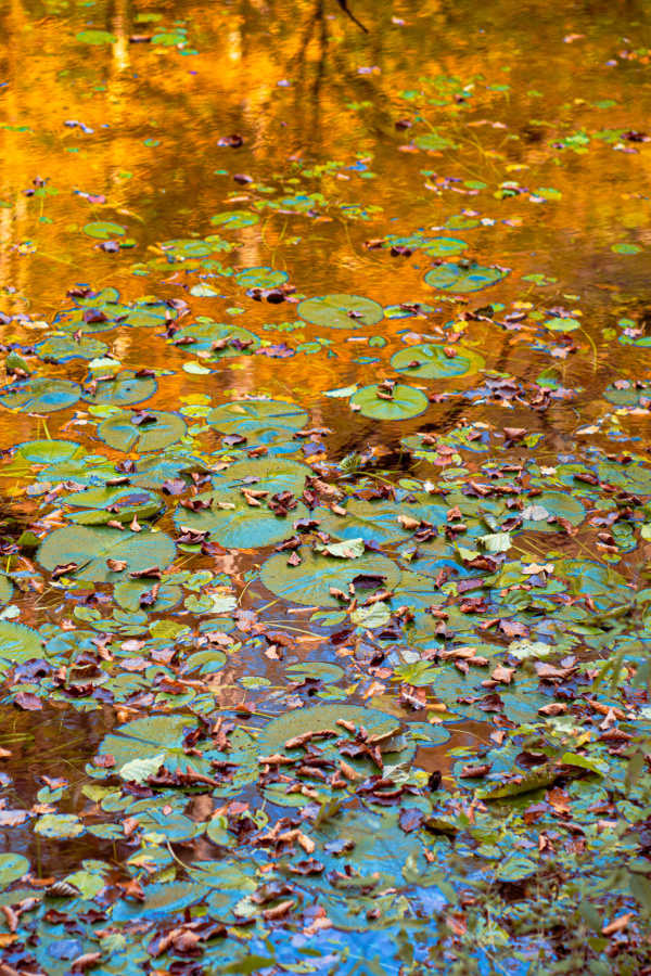 fotograf%20arad%20dolha%20photography%209